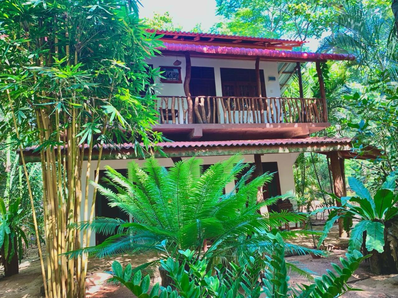 Walawa Blue Sapphire Hotell Udawalawe Eksteriør bilde