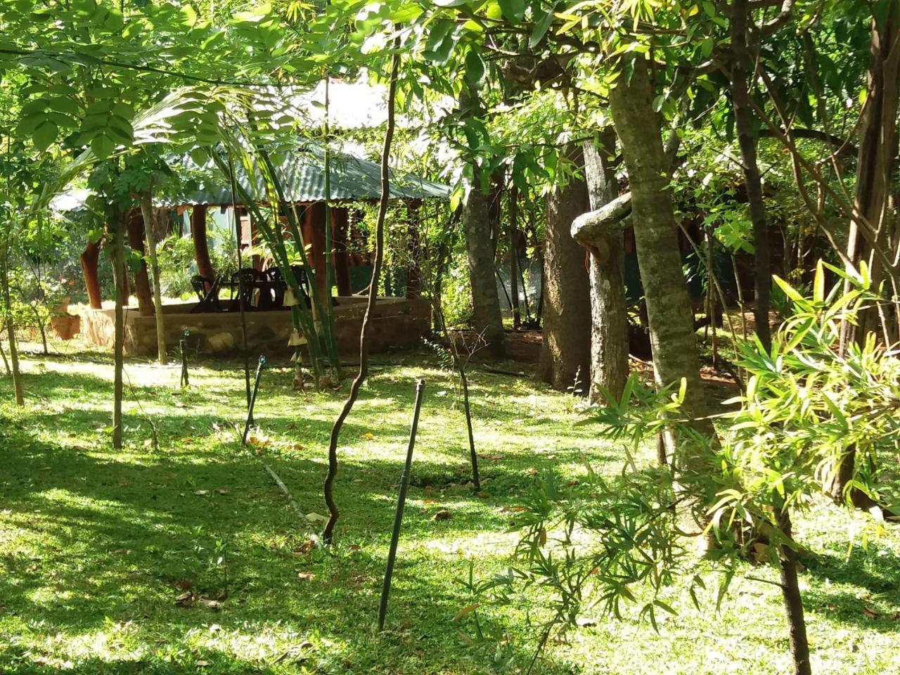 Walawa Blue Sapphire Hotell Udawalawe Eksteriør bilde