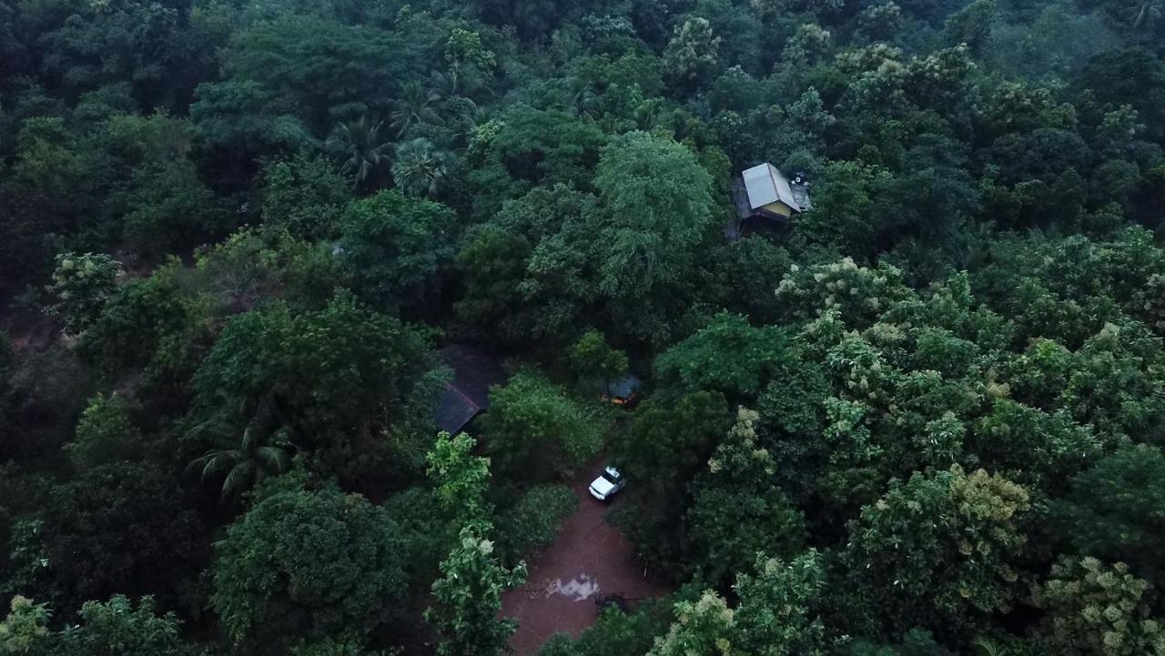 Walawa Blue Sapphire Hotell Udawalawe Eksteriør bilde